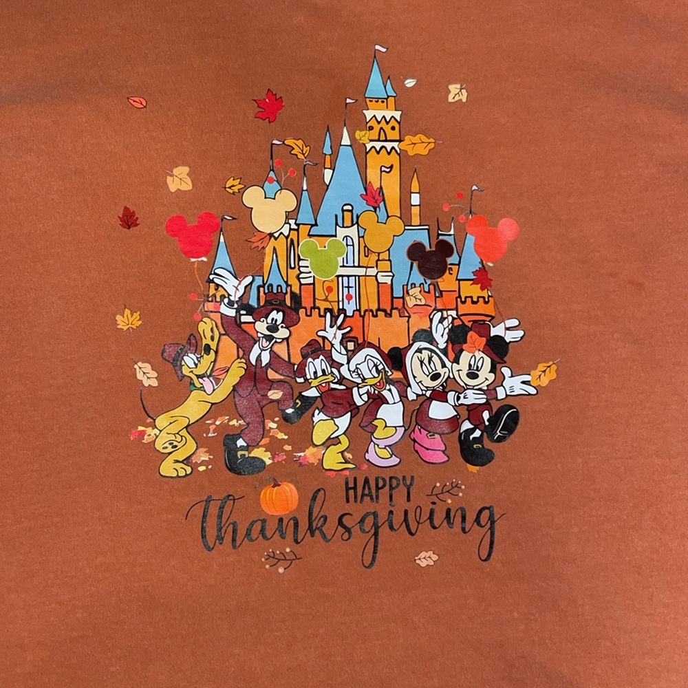 EUC Burnt Orange Disney Thanksgiving Graphic T-Shirt - Picture 2 of 3